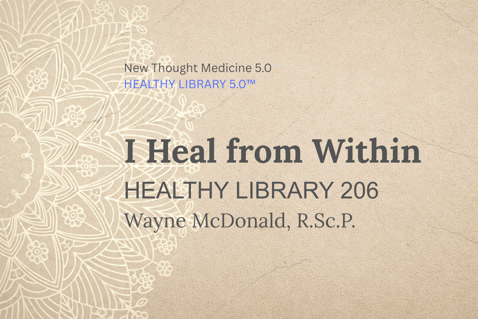 Healthy 206 I Heal from Within PDF