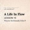 A Life In Flow LESSON 15 A Life In Flow PDF